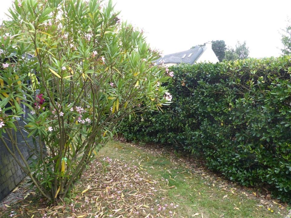 Port An Dro 1 - Wifi, Jardin, Plage 200M - K295 Carnac Kültér fotó